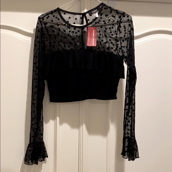 Toska Tops - NEW Toska Long Sleeve Sheer Crop Top with Velvet
